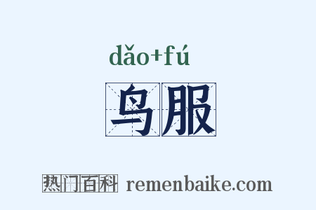 鸟服是什么意思的图片